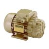 DEKKER 0.25 HP, 2 ACFM Oil-Free Rotary Vane Vacuum Pumps 115/1/60 | RVD002L